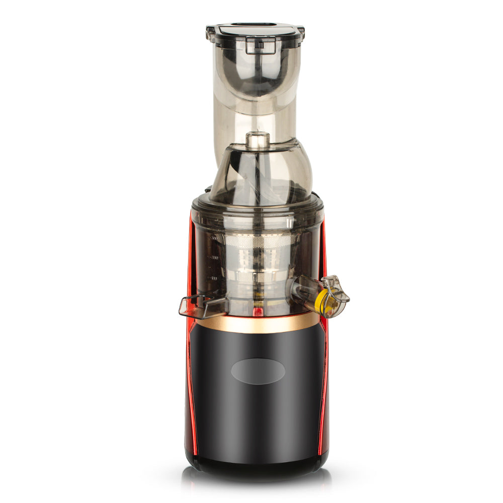 RAF Seven-Segment Extrusion Screw Shaft Slow Juicer – Large Caliber, Low Noise, High Yield